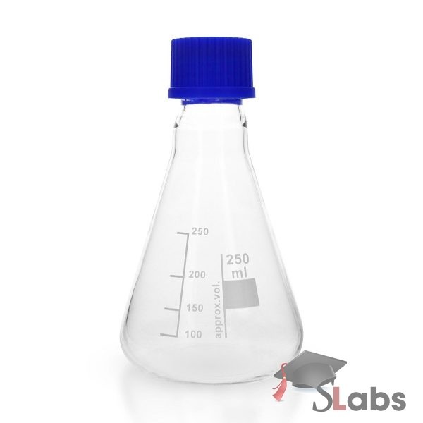 Conical Flask Glass With Screw Cap