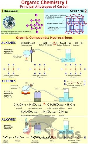 Organic Chemistry-1 Chart (Principle Allotropes Of Carbon)