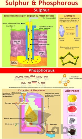 Sulphur And Phosphorous Chart