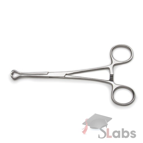 Babcock Forceps