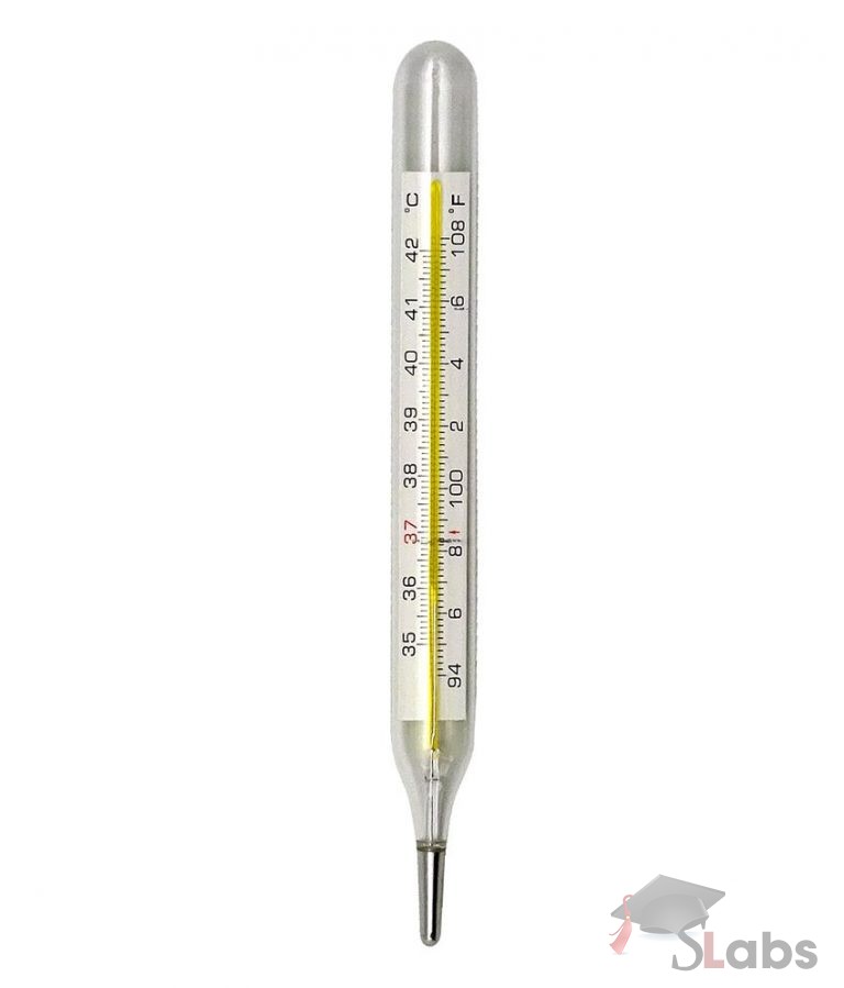 Clinical Thermometer Scholars Labs