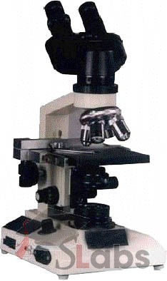 Inclined Research Microscope