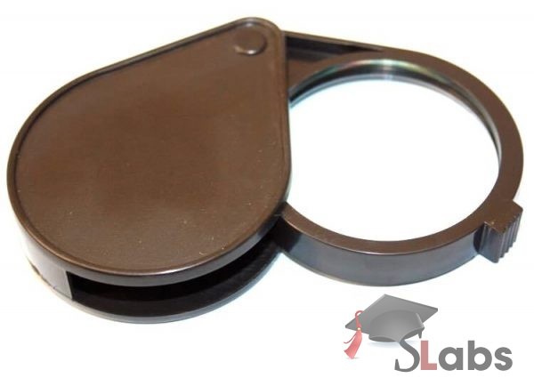 Folding Magnifier Single