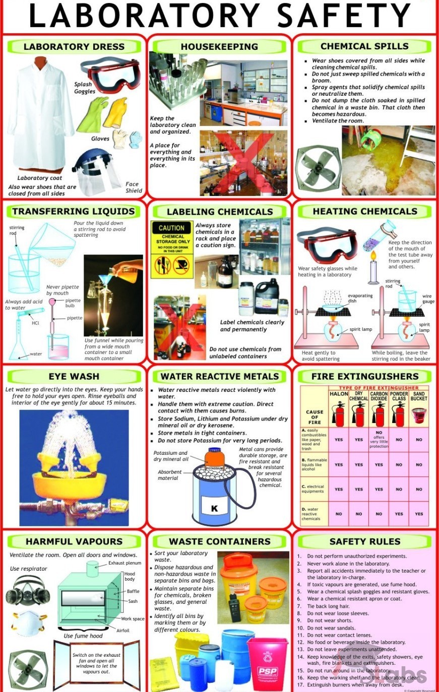 Lab Safety Pictures Hair